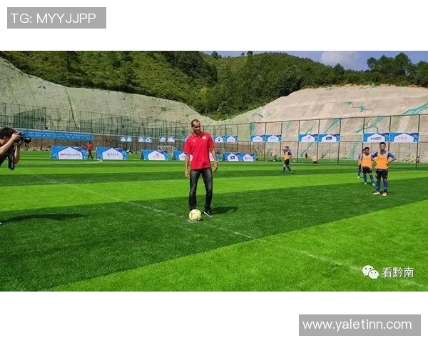 足球明星在南宁购置豪宅引发热议当地房产市场迎来新机遇