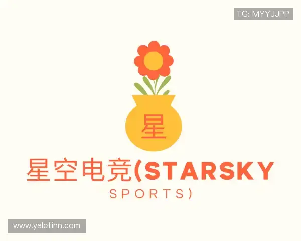了解星空电竞(StarSky Sports)